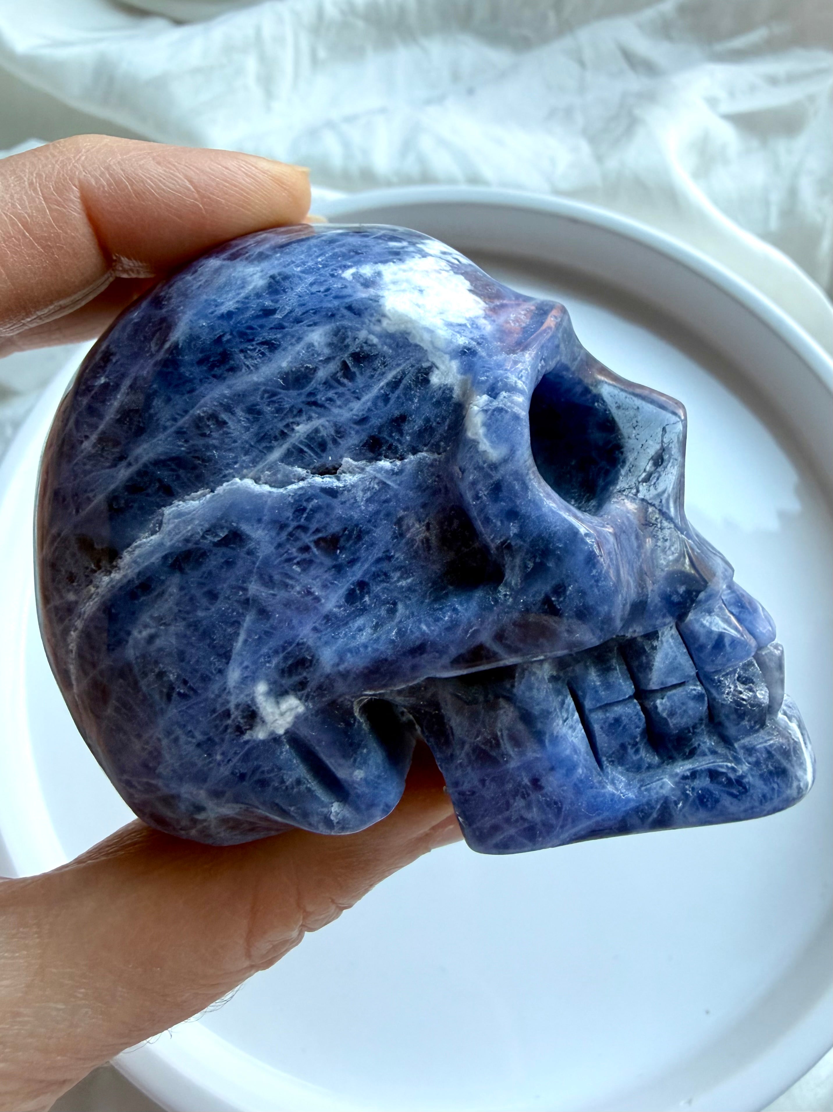 Natural Sodalite crystal skull side view with deep blue color and contrasting white mineral veining