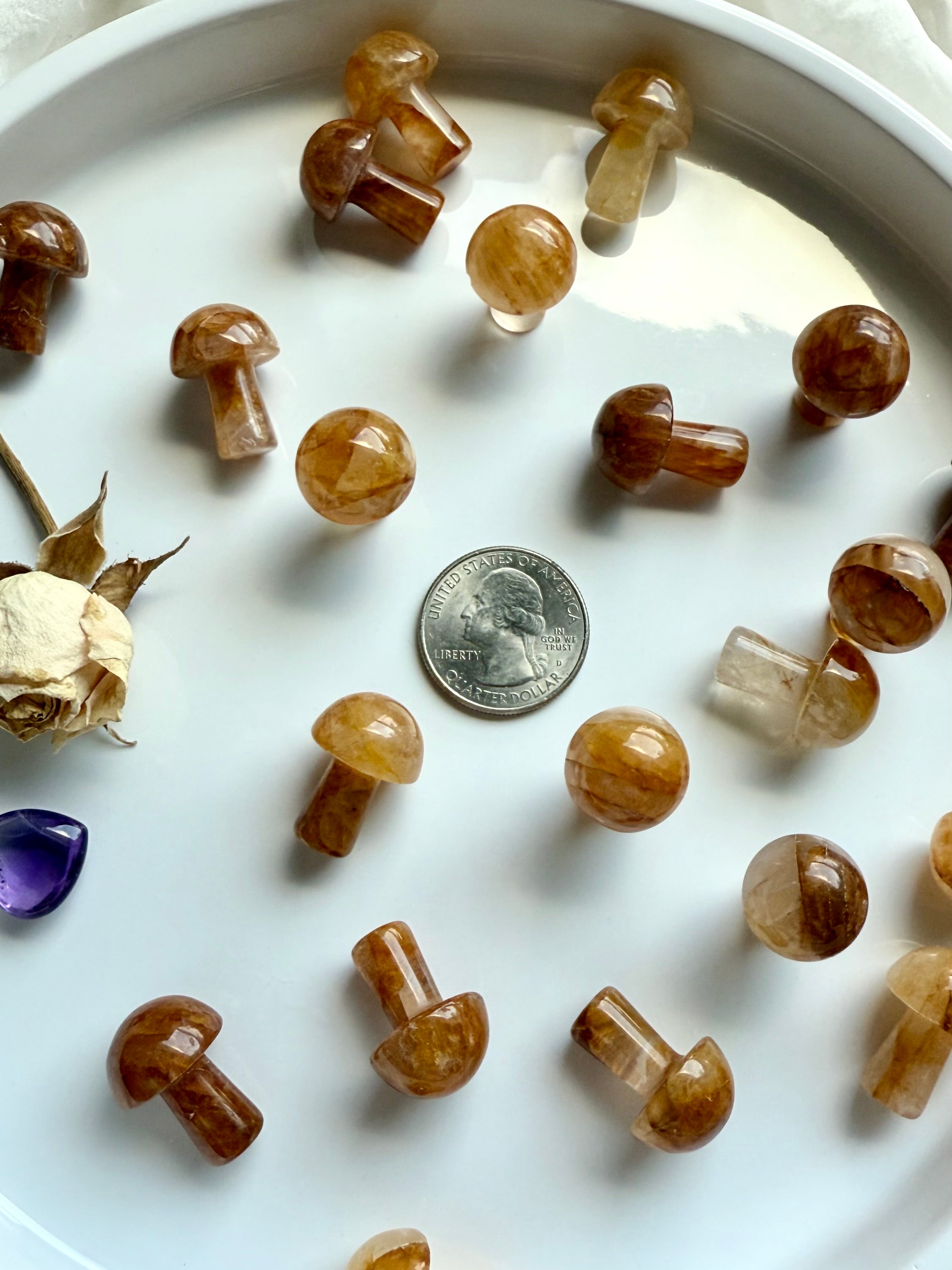 Golden Healer Quartz mini mushrooms with US quarter for scale — crystal carvings for Solar Plexus chakra, energy work, and spiritual practice.