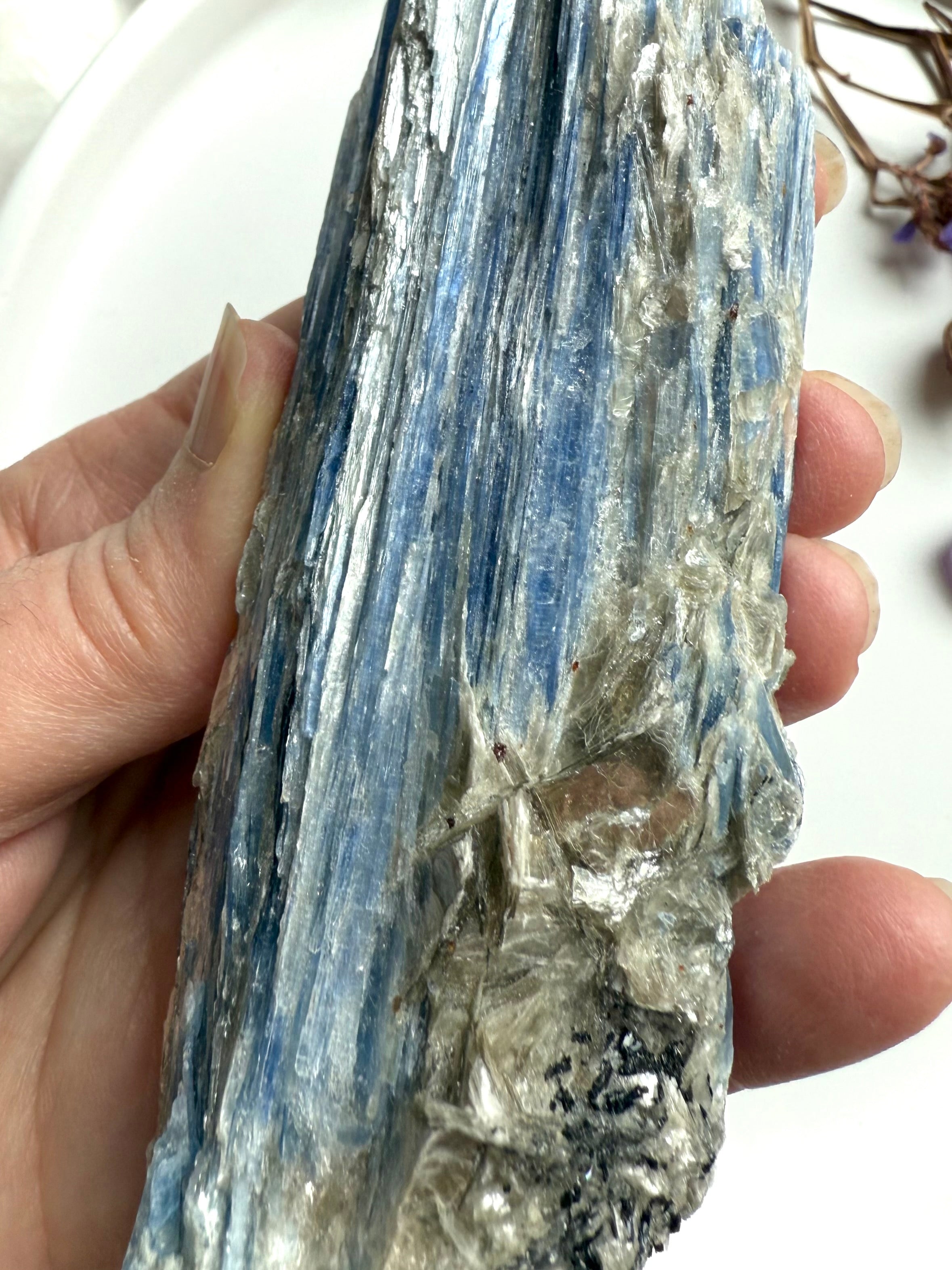 Close-up of raw blue kyanite blades with muscovite sparkle, high vibration healing crystal specimen
