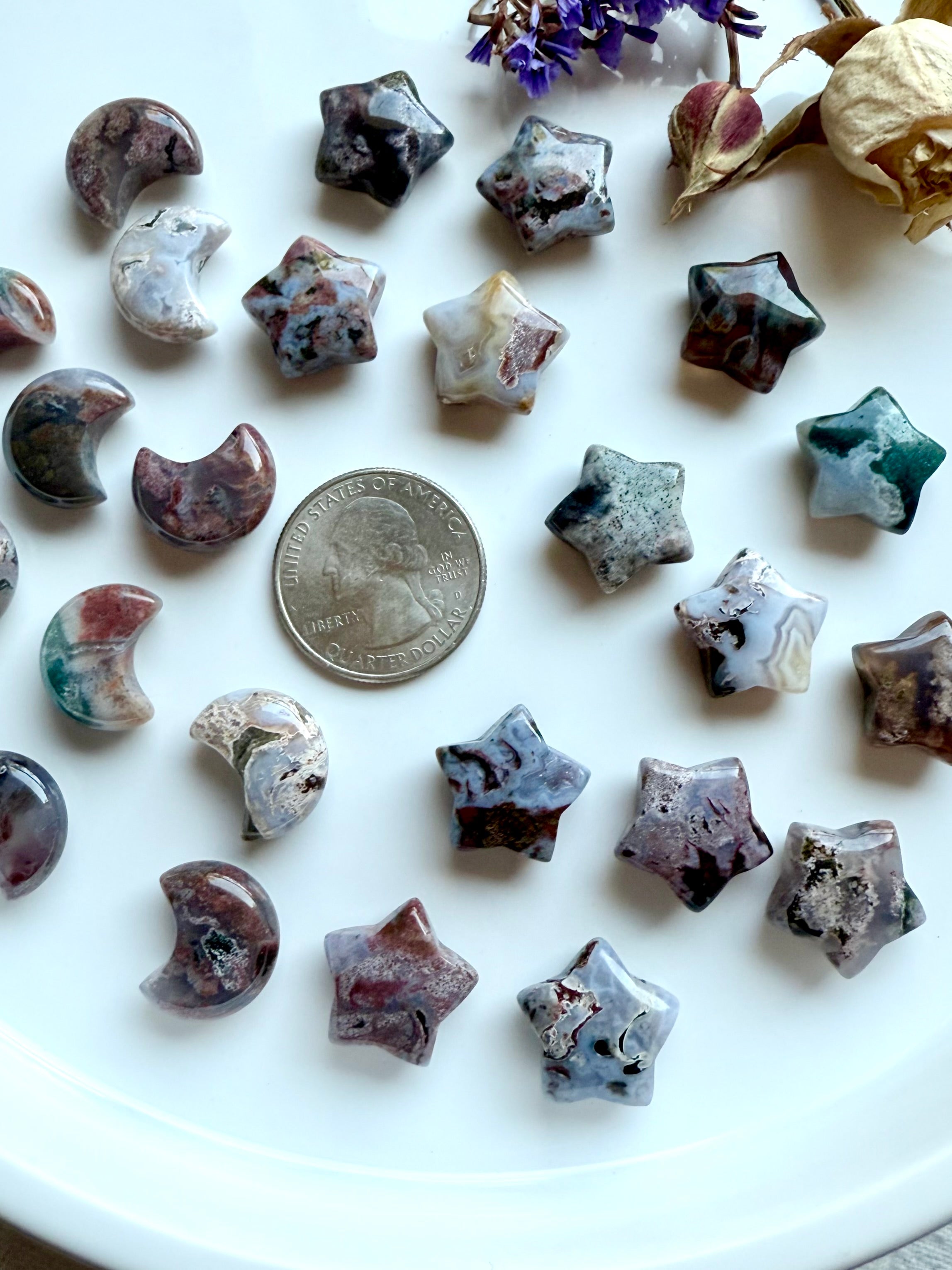 Close-up of mini Ocean Jasper moons and stars with a quarter for size reference