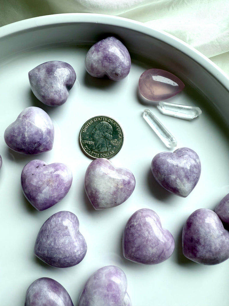 Calming lilac colored Lepidolite puffy hearts shown on a white plate with a quarter for scale