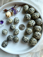 Small and large Dalmatian Jasper tumbles with a US quarter for scale, polka dot crystals for grounding & playfulness