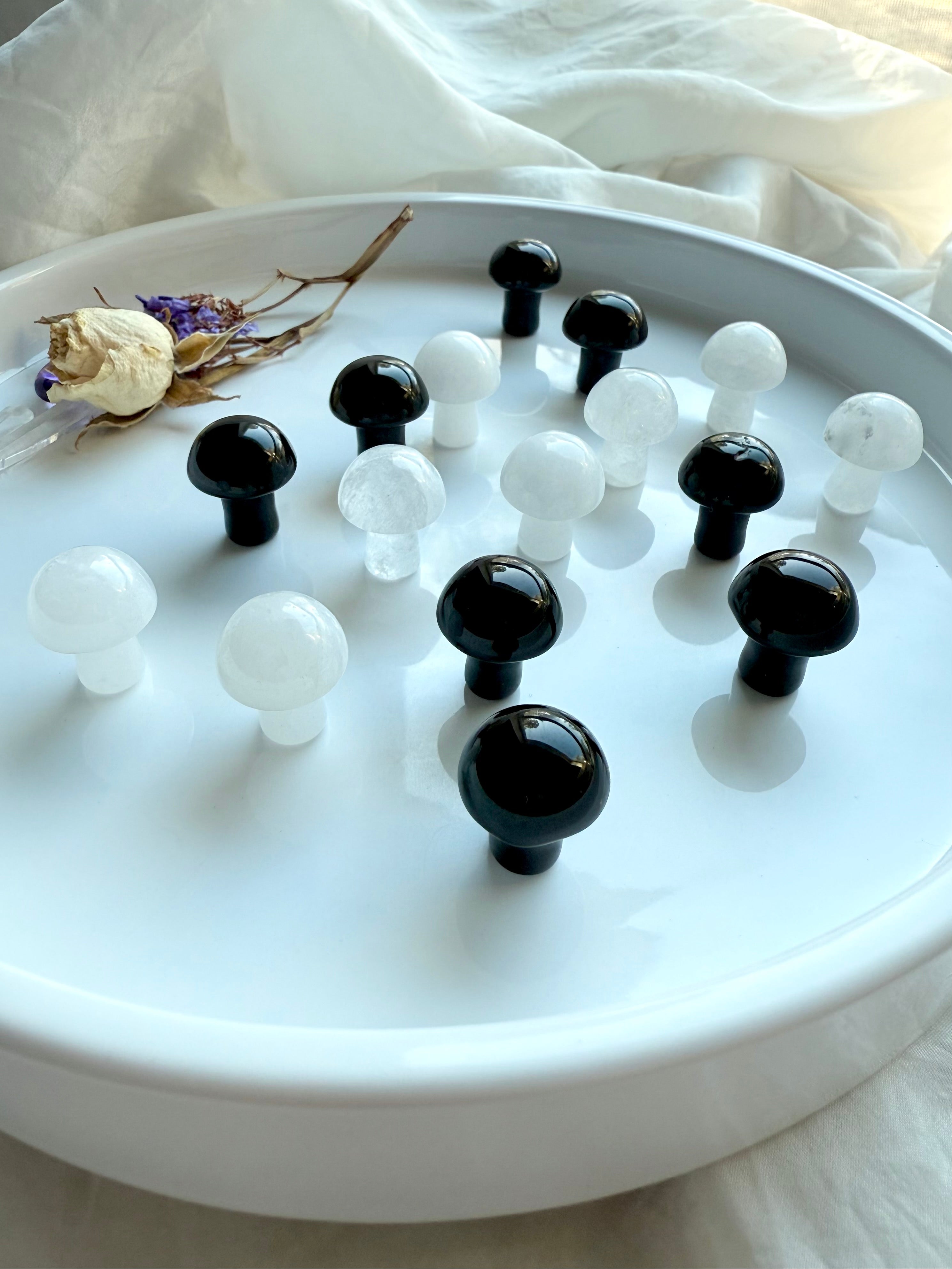 Mini mushroom carvings grouped by color in radiant light – Obsidian and White Quartz mushrooms for fae magic, good luck, and energy clearing