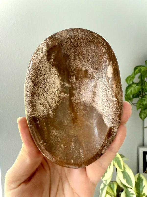 Beautiful Brown Ocean Jasper Bowl
