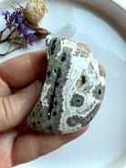 Gray and black Ocean Jasper moon with orbicular starburst markings, hand-carved healing crystal for grounding energy