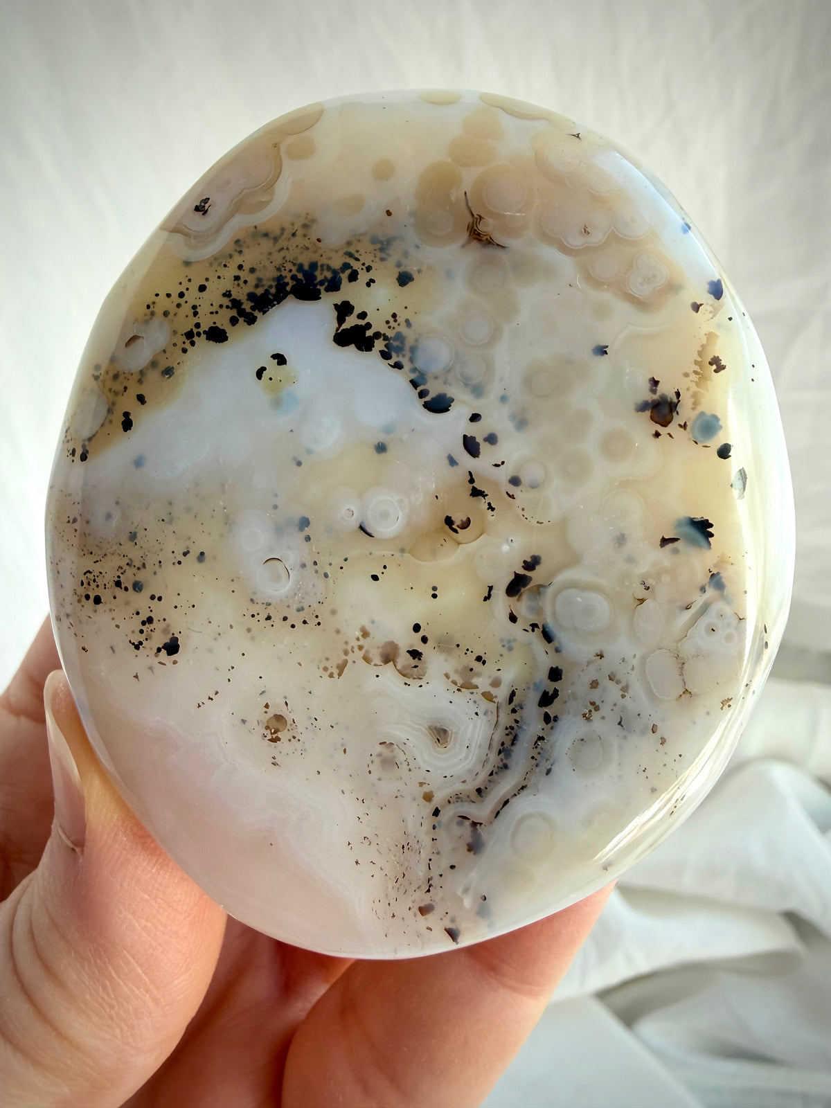 Close-up of Dendritic Agate freeform featuring intricate branching mineral formations and translucent ivory Agate