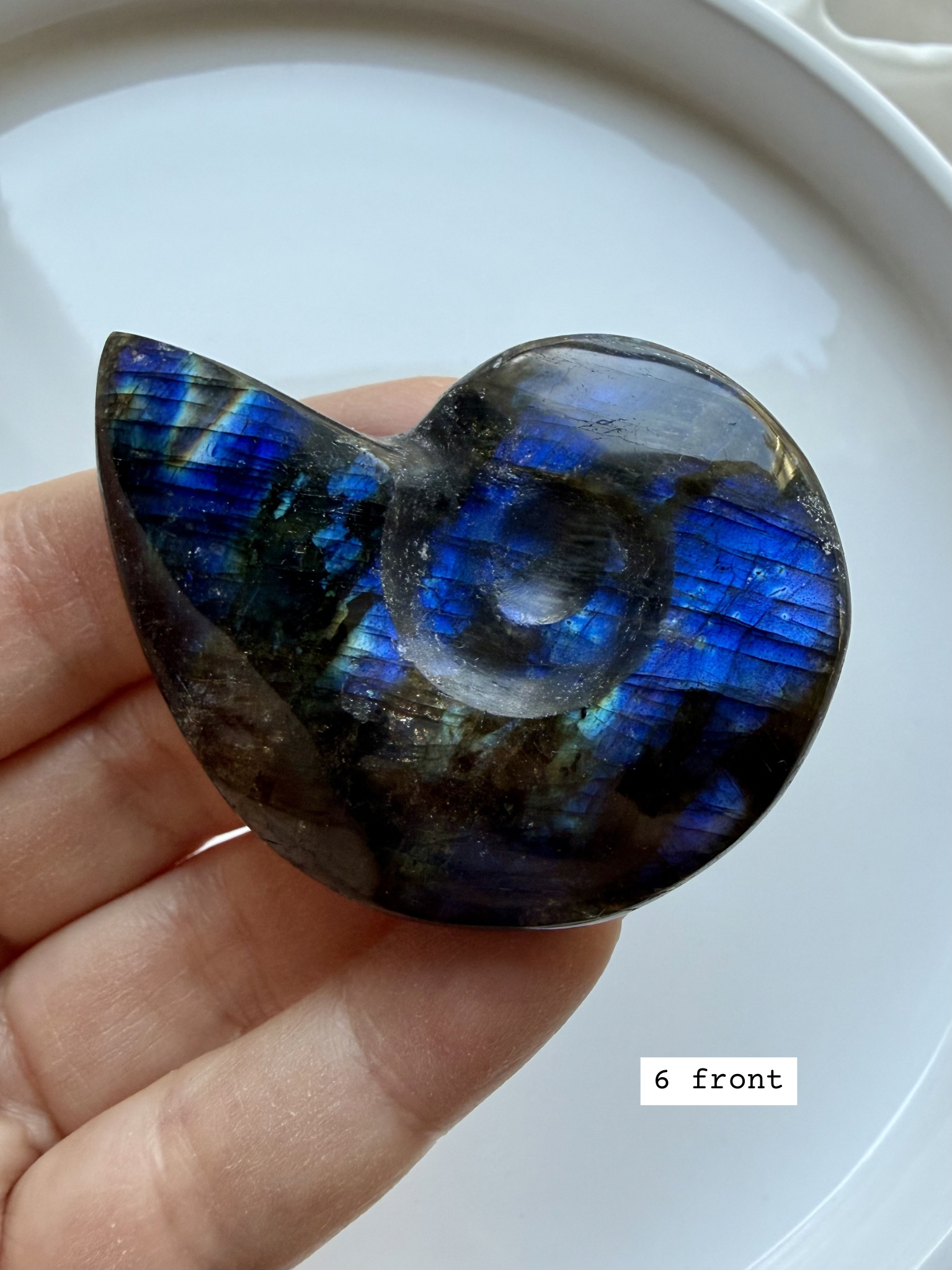 labradorite shell carving # 6 front view, vivid blue flash spiral crystal shell for third eye chakra
