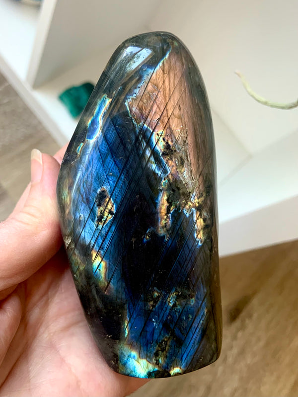 Blue + Orange Flash Labradorite Freeform with an elegant, tall oval shape will make a gorgeous addition to your crystal collection + a great gift for any crystal lover.