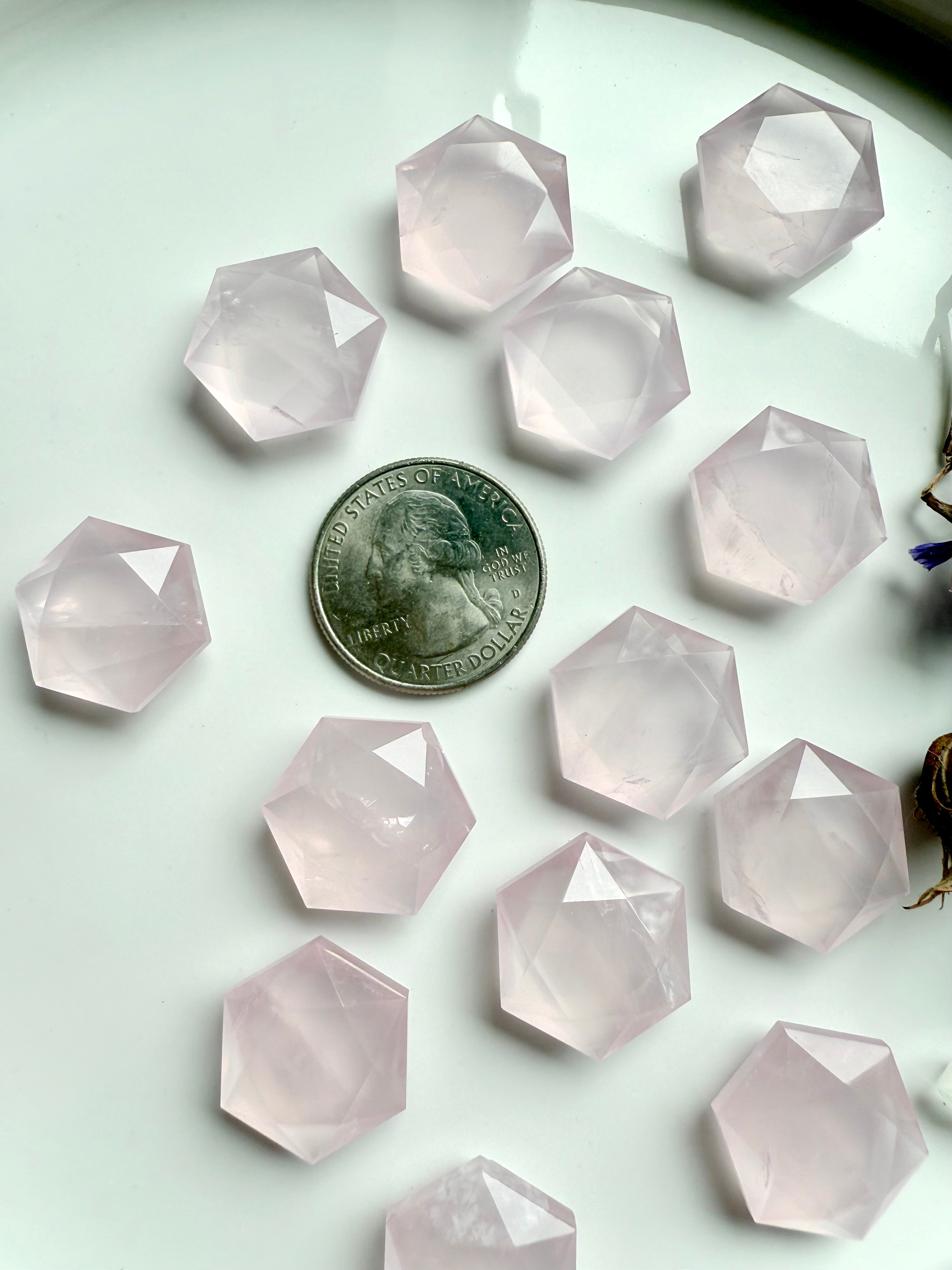 Closeup of several mini rose quartz hexagons beside a quarter for size reference, translucent pink Heart Chakra stones with natural veining