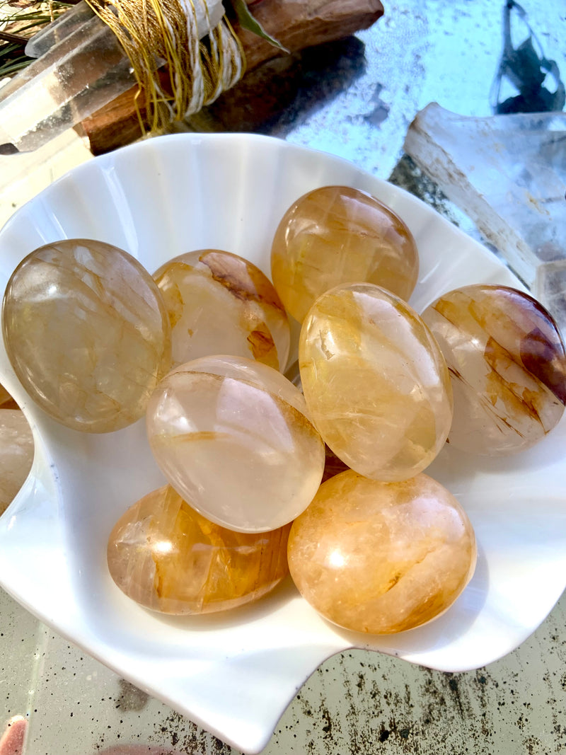 An array of small golden healer palm stones shown in a white shell bowl in indirect natural light.