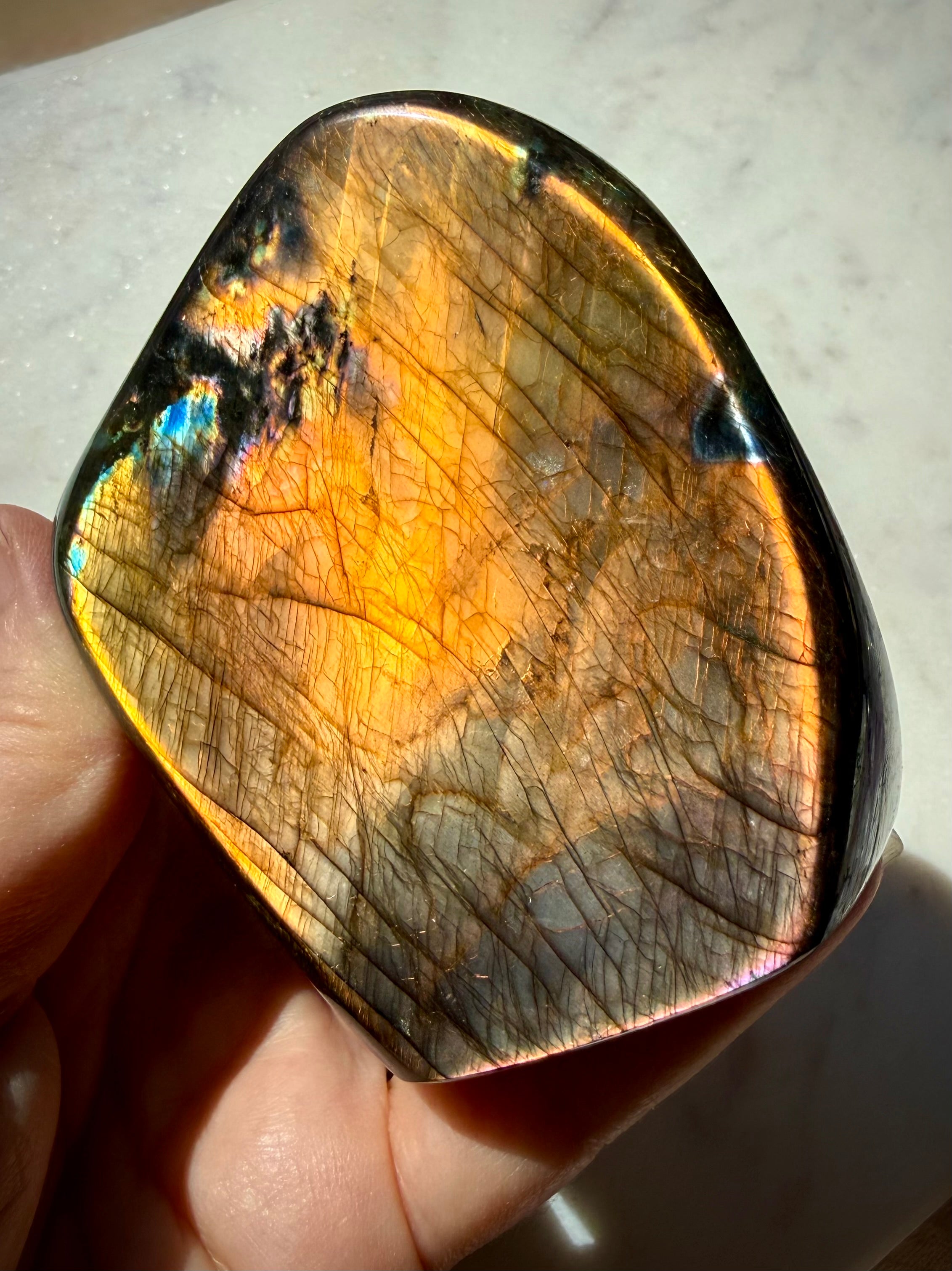 Orange Flash Labradorite freeform held in hand showing its polished shape and natural dark patterning