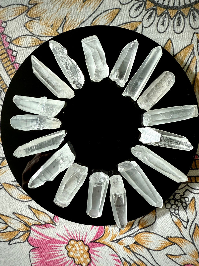 Lemurian Seed Quartz Points - 1.75"-2"