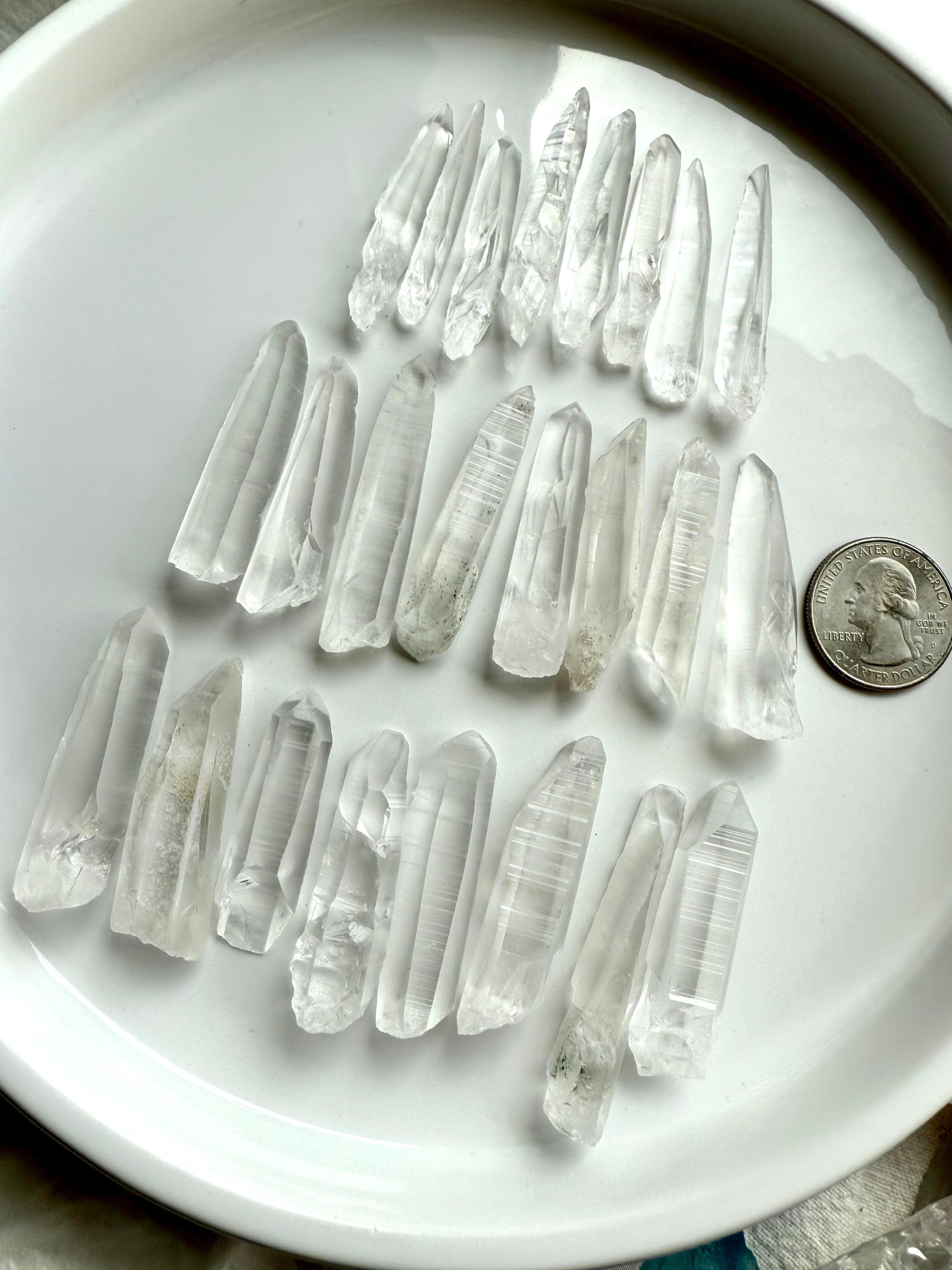 Three rows of Lemurian Seed Quartz Points with a quarter for scale — raw, high-vibe crystals for clarity, intuition & soul-level activation.