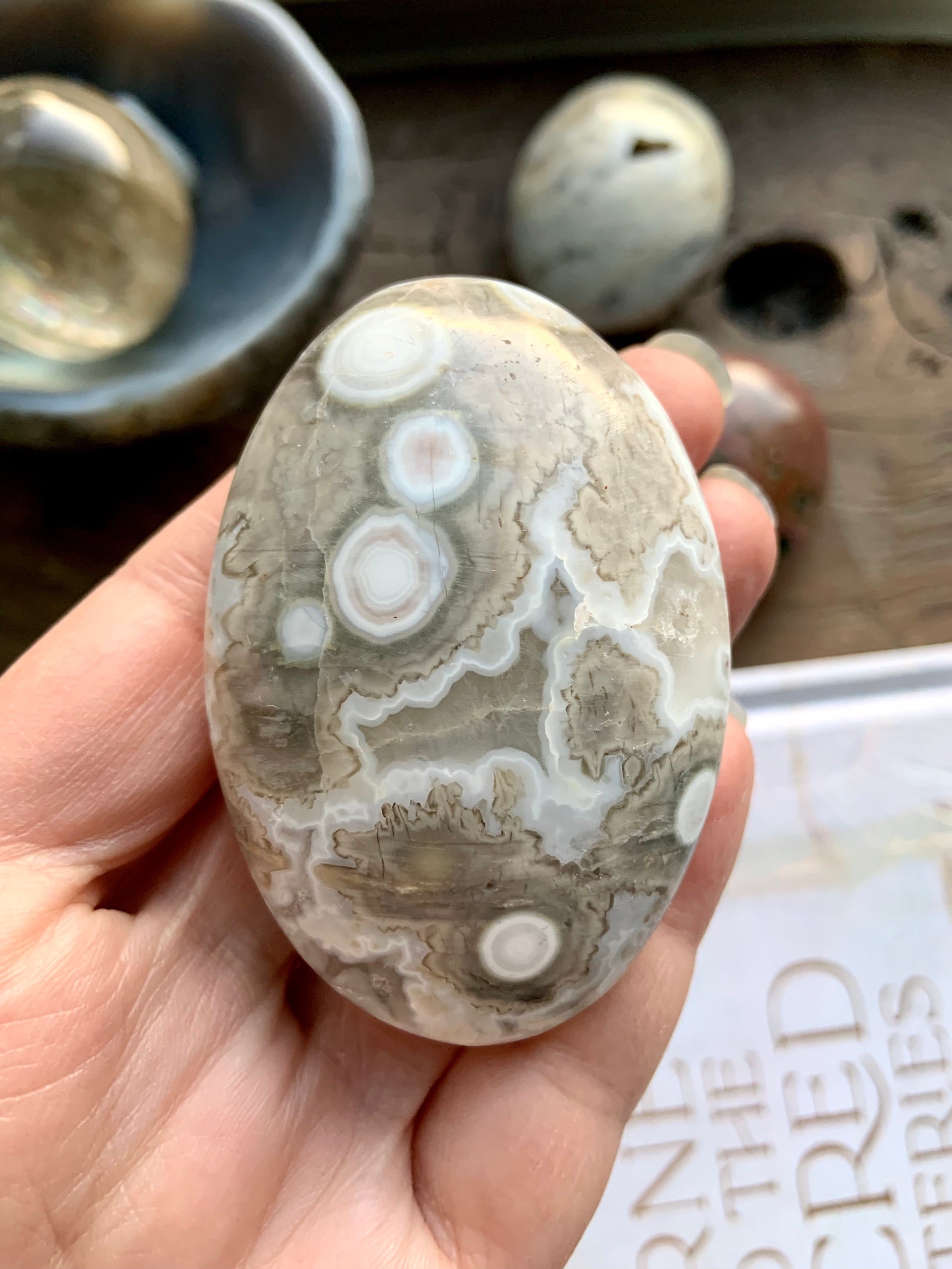 8th Vein Orbicular Ocean Jasper Palm Stone 8th Vein Orbicular Ocean Jasper Palm Stone