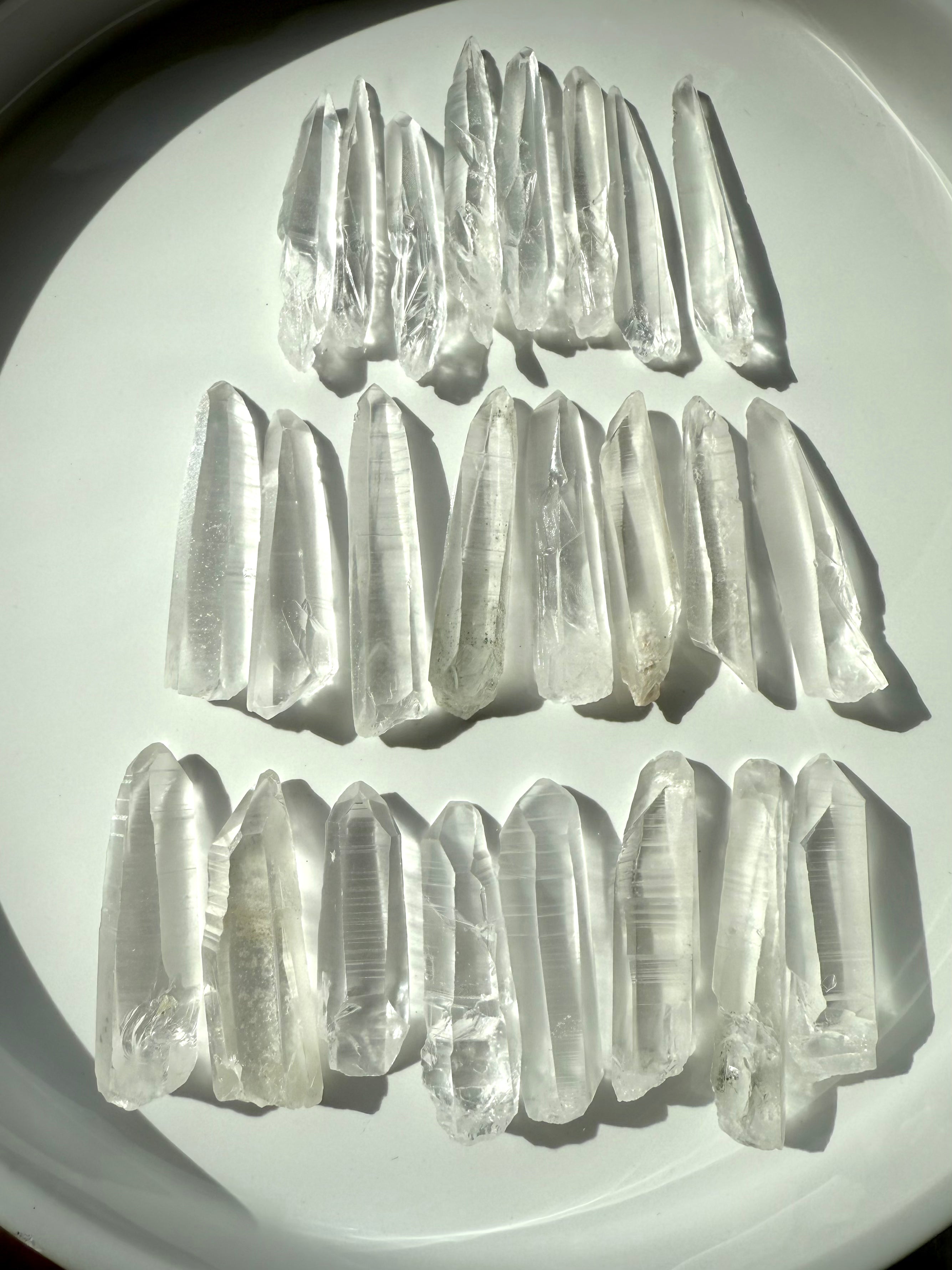 Lemurian Seed Quartz points in various sizes on a white plate — high-vibe crystals for clarity, intuition & soul-level healing.