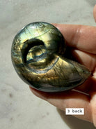 labradorite shell carving # 3 back view, labradorite crystal ammonite with natural pattern
