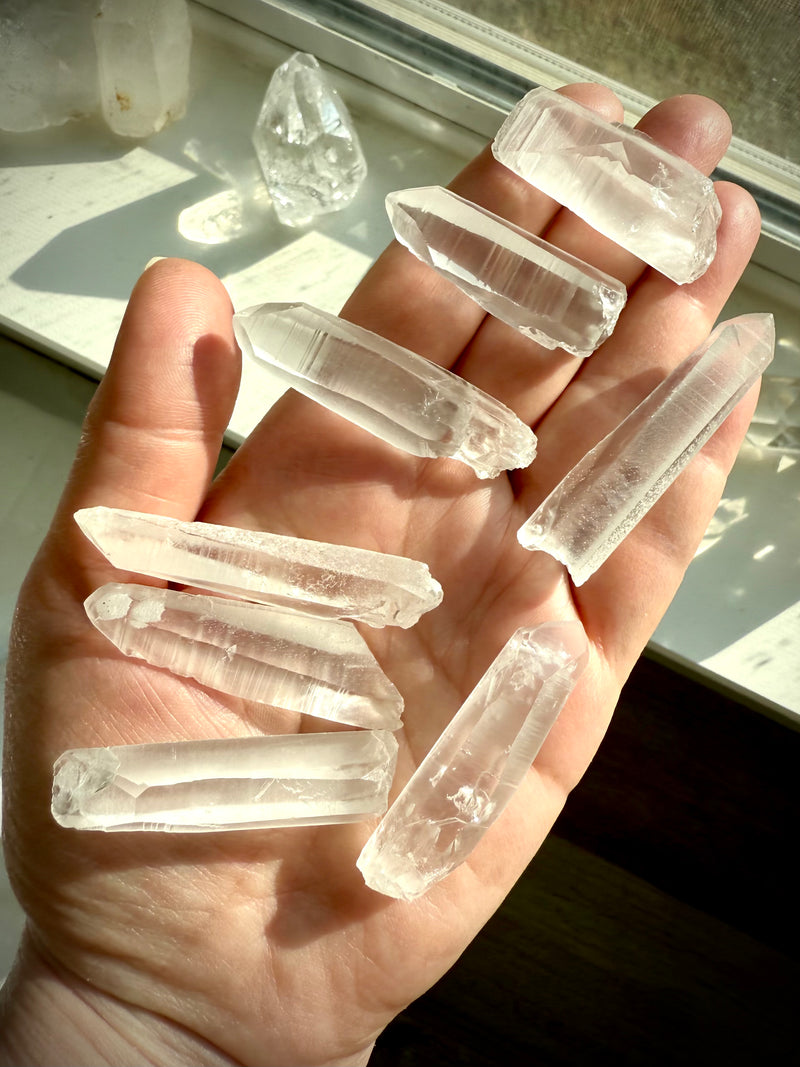 Lemurian Seed Quartz Points - 1.75"-2"