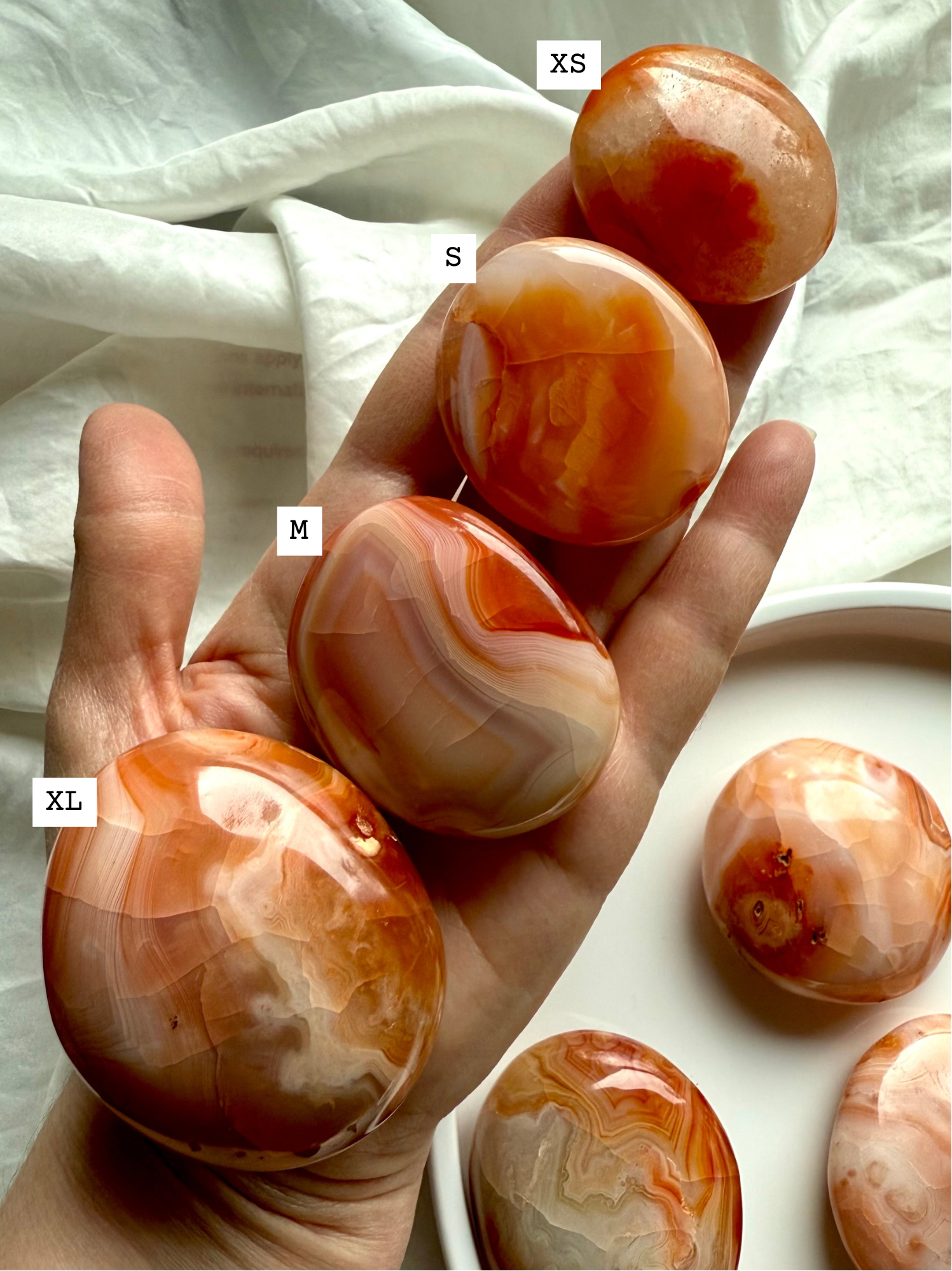 Hand holding four polished Carnelian palm stones labeled XS, S, M, and XL, showing size variations of vibrant orange and red banded agate crystals for grounding, energy, and Sacral Chakra healing.