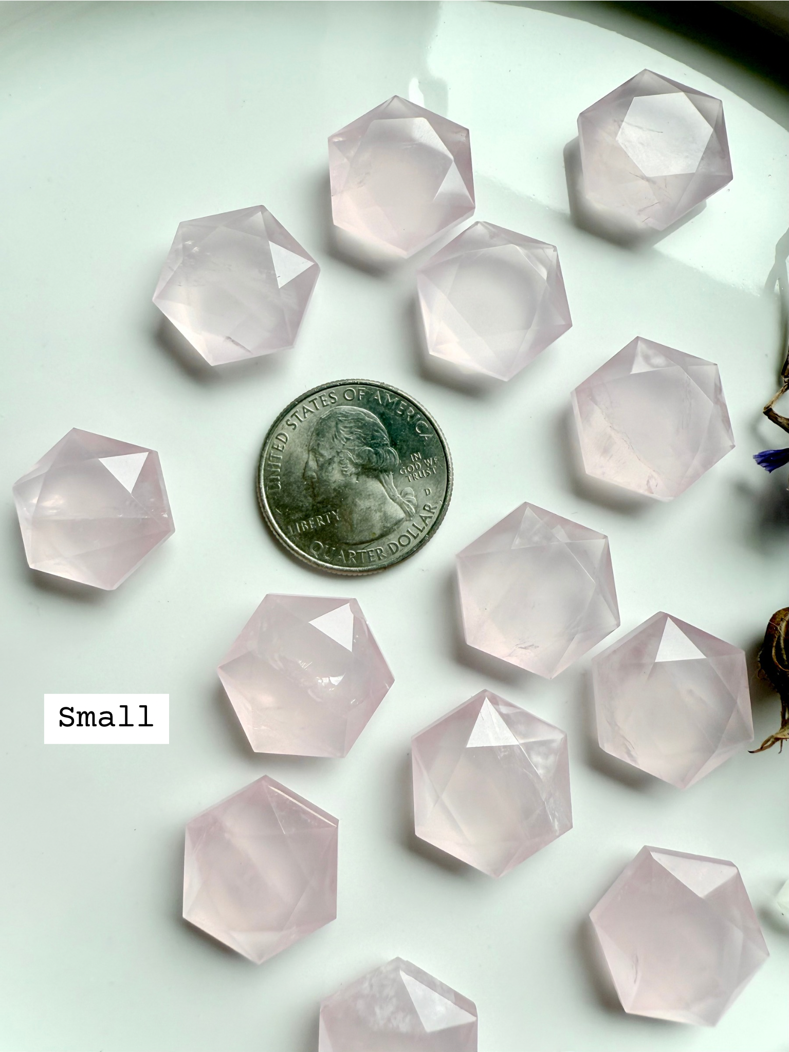 Small rose quartz hexagon crystals with a quarter for scale on a light background