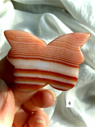 Polished Carnelian Butterfly carving showing detailed banded agate patterns