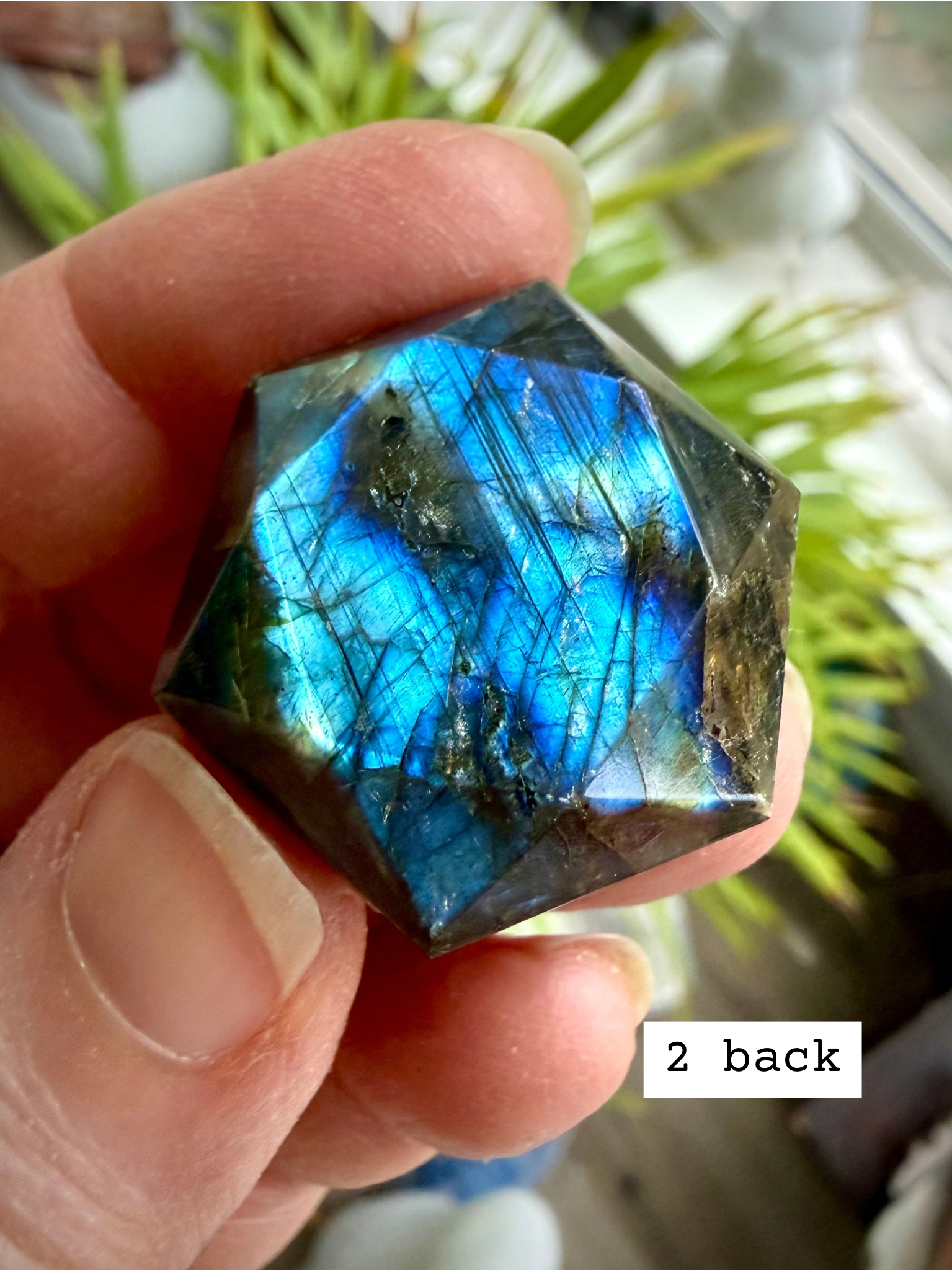 Faceted Labradorite hexagon crystal – sacred geometry hexagon for intuition, luminous green and blue flash, back view