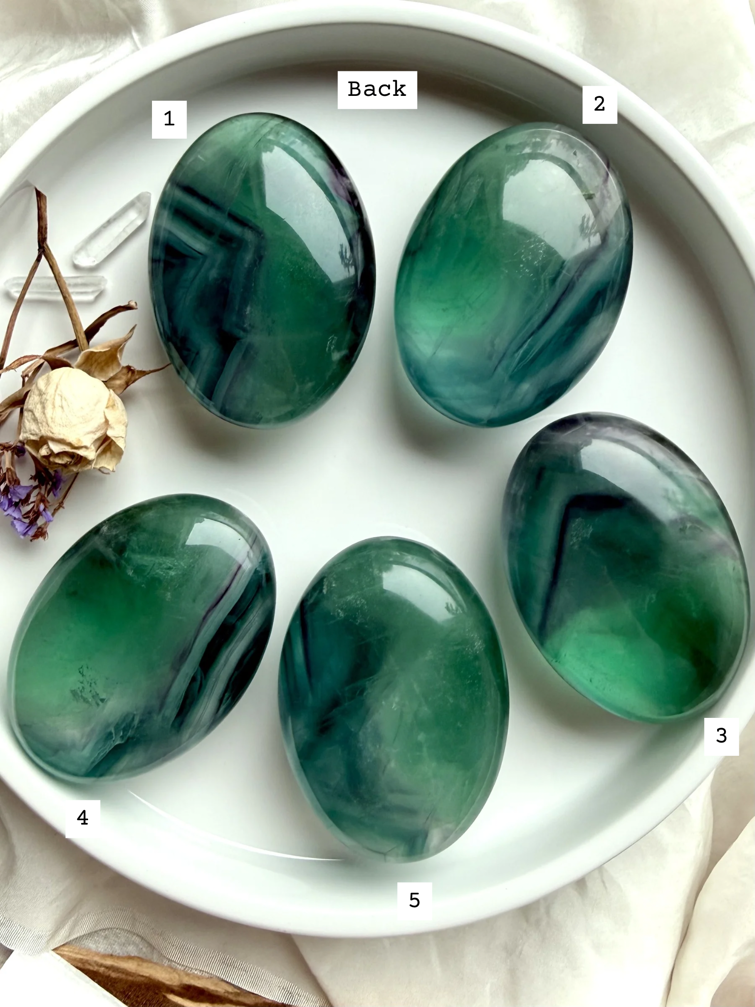 Back view of five large teal fluorite palm stones labeled 1–5, displaying natural blue green layers and banding patterns