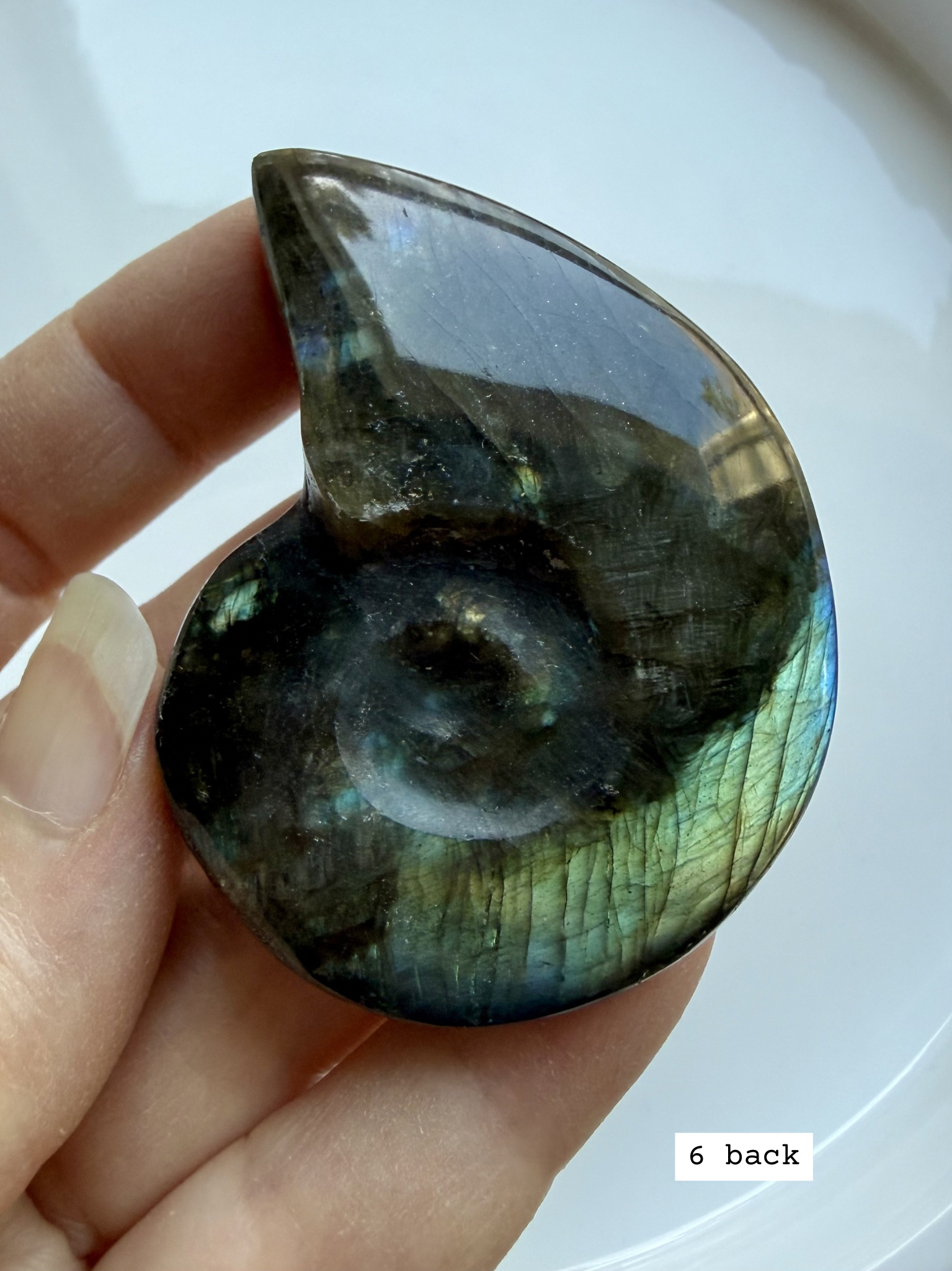 labradorite shell carving # 6 back view natural labradorite shell with subtle flash and patterning