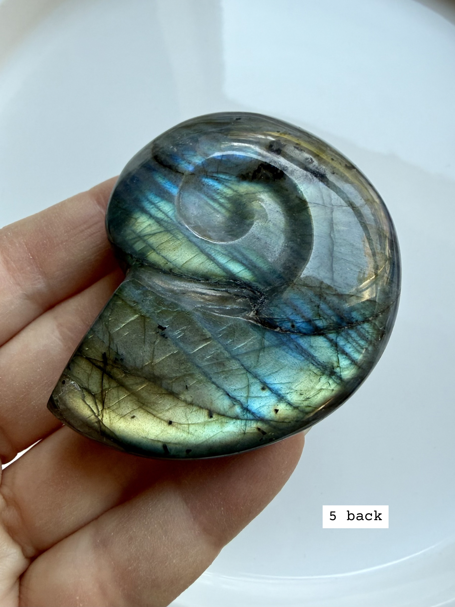 labradorite shell carving # 5 back view polished labradorite shell with natural stone pattern