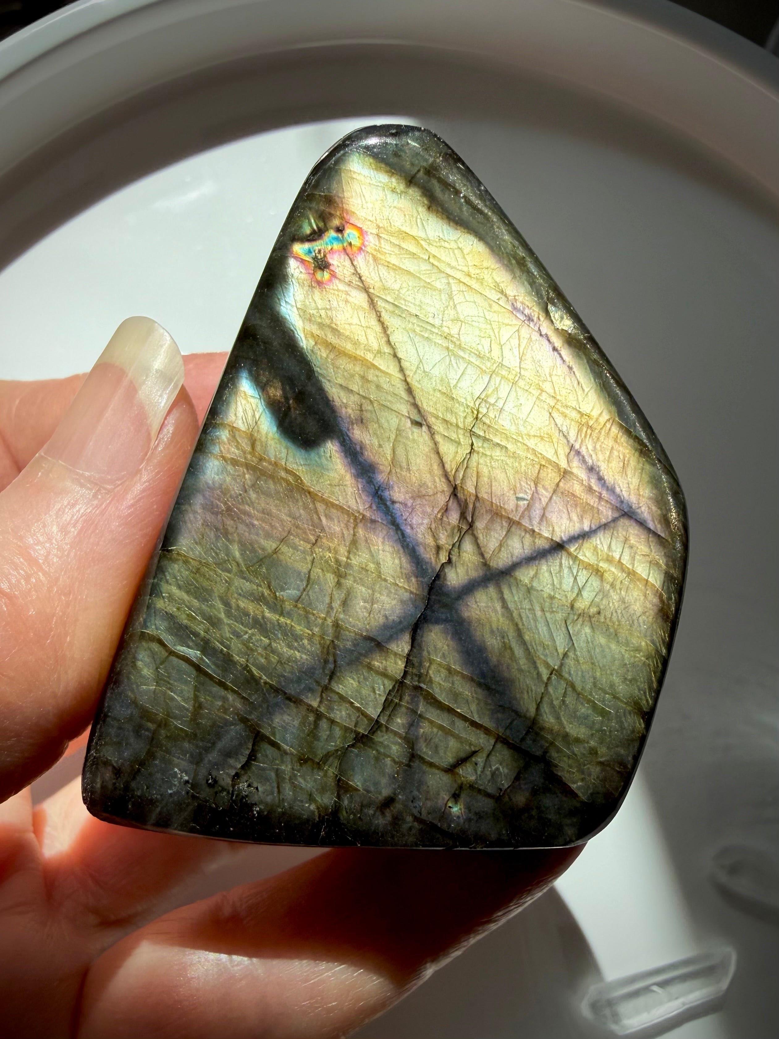 Golden Labradorite freeform stone with shimmering yellow-gold iridescence and dark intersecting veins, a crystal for protection and spiritual growth