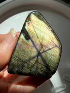 Golden Labradorite freeform stone with shimmering yellow-gold iridescence and dark intersecting veins, a crystal for protection and spiritual growth