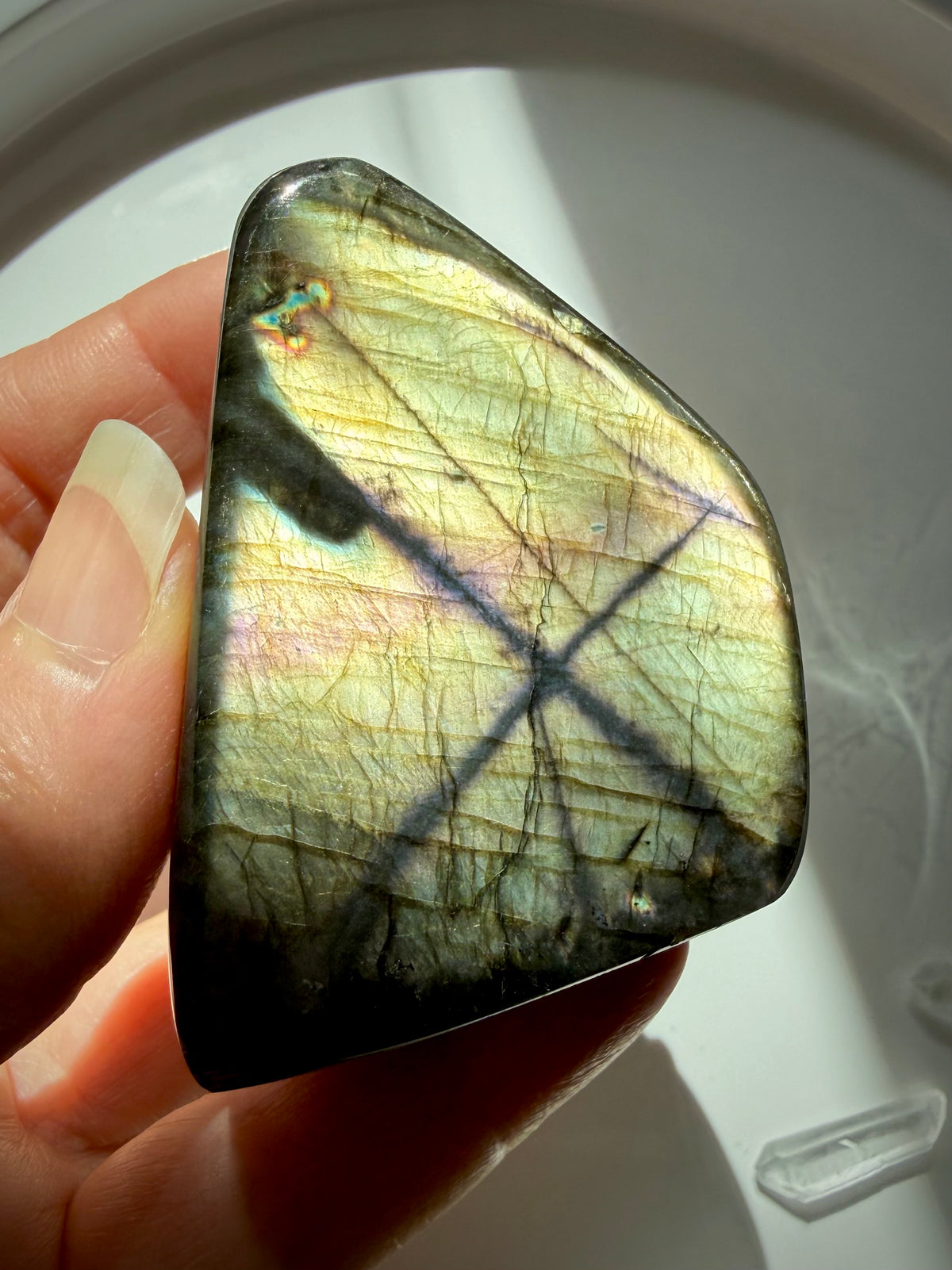 Polished Golden Labradorite freeform held in hand, displaying luminous gold and green labradorescence with dramatic black mineral patterns