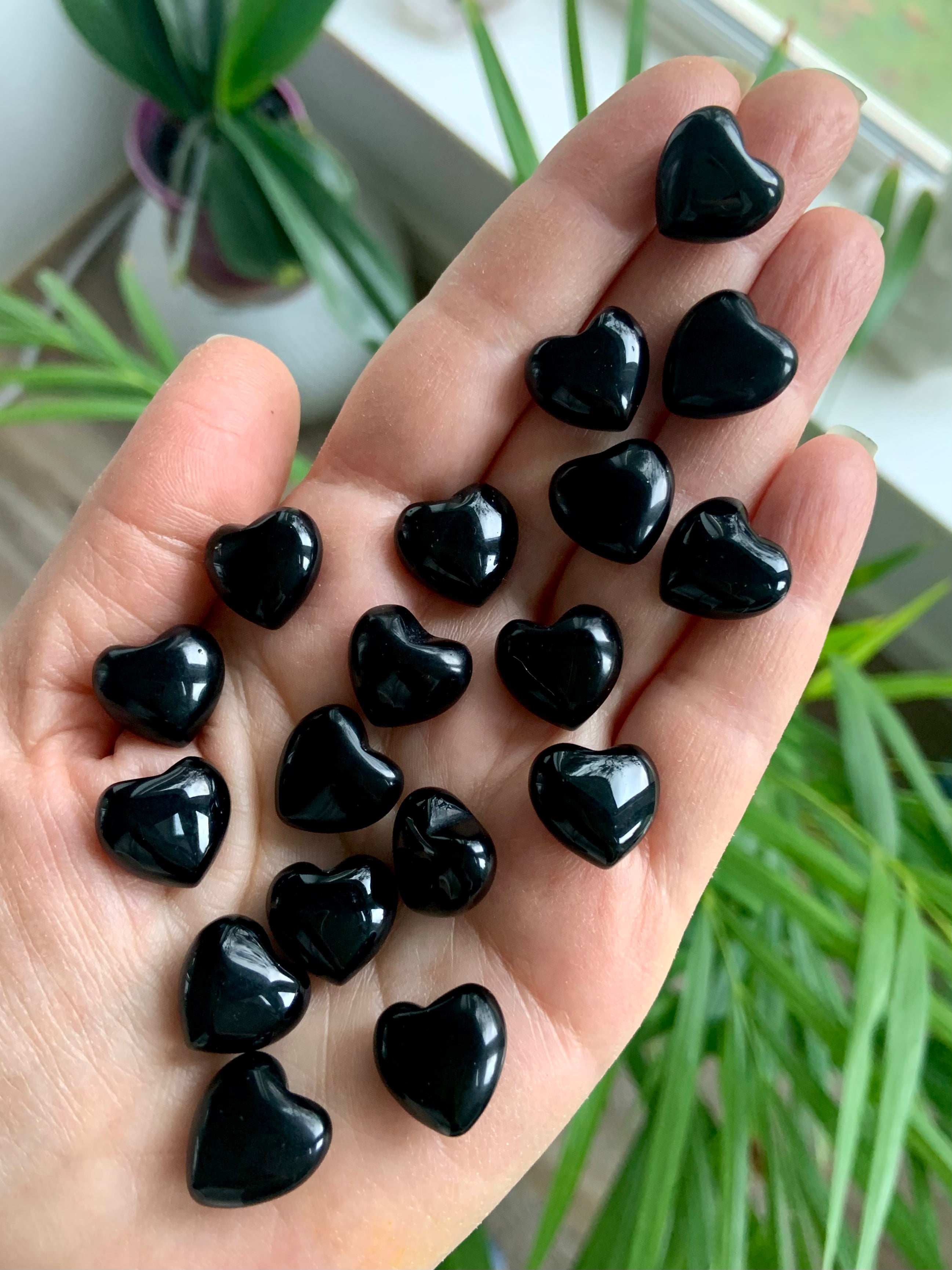 Shiny Black Obsidian mini hearts displayed on hand with lush green houseplants in background — perfect for gifting or pocket protection