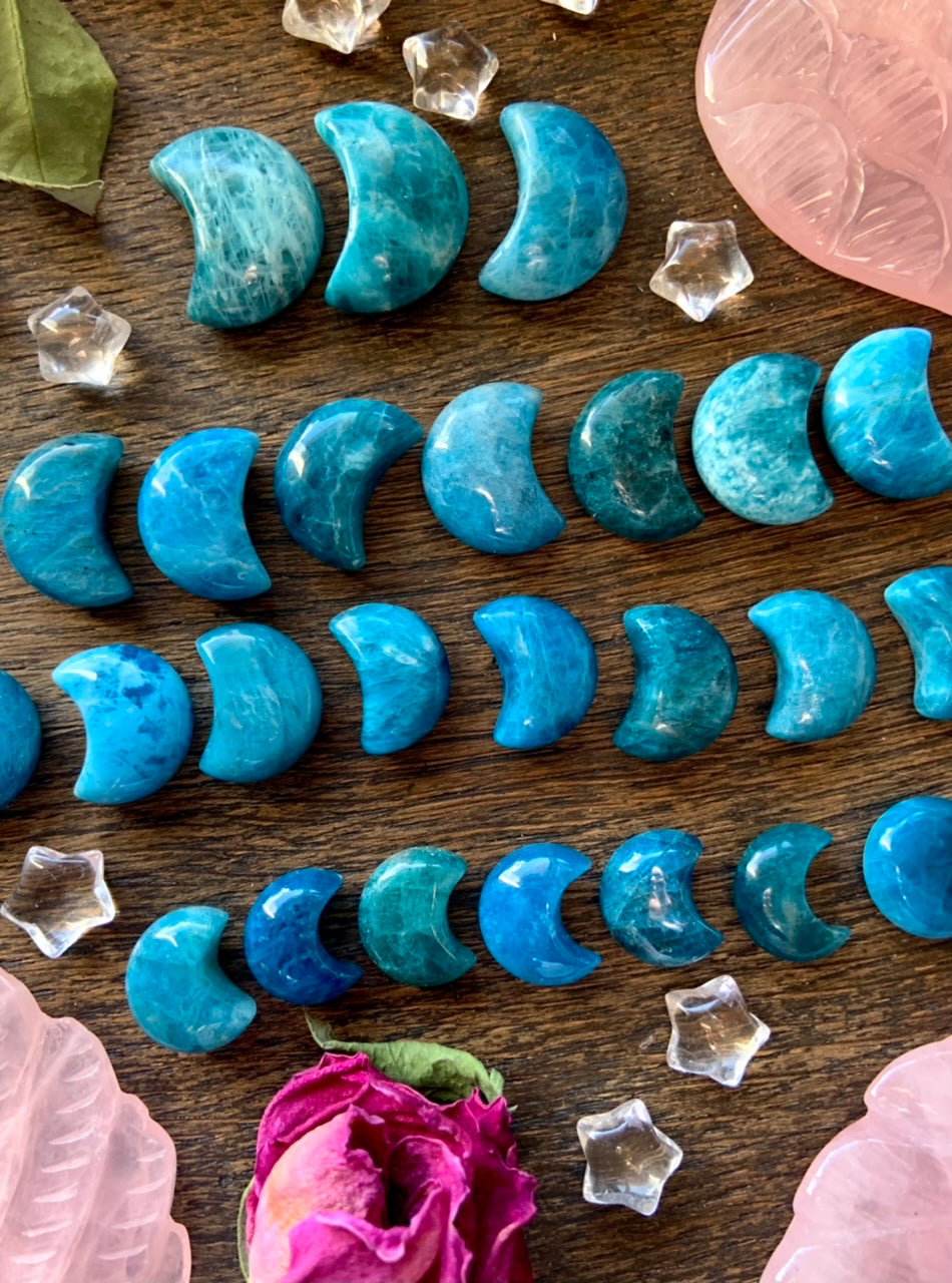 Close-up of Blue Apatite mini moon carvings in size order on wood table — crescent crystal moons with rose petals & teal throat chakra energy.