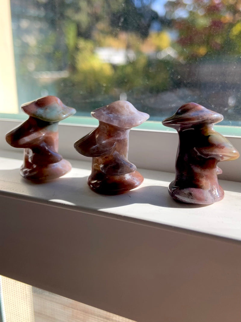 Ocean Jasper Mushroom Toadstools