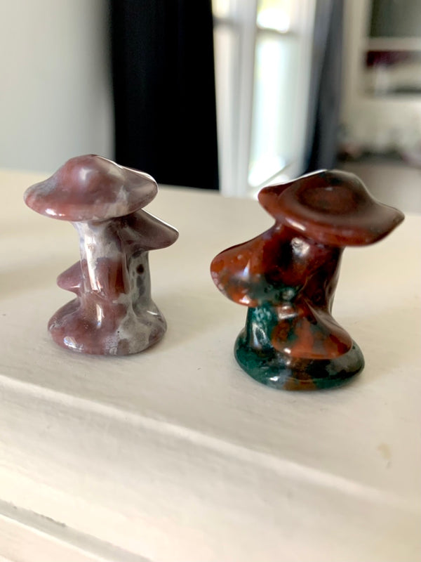 Ocean Jasper Mushroom Toadstools