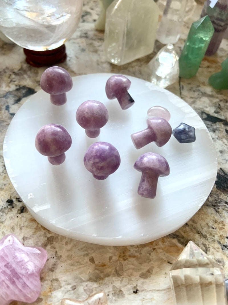 Lepidolite Mini Mushrooms