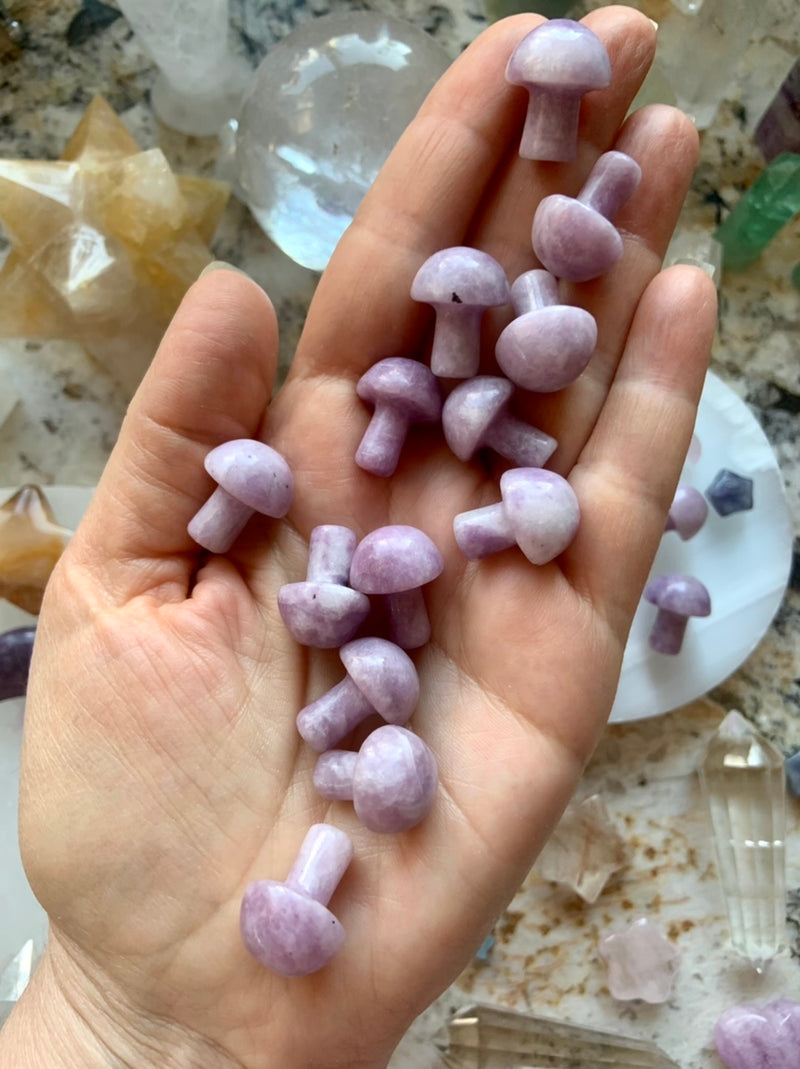 Lepidolite Mini Mushrooms