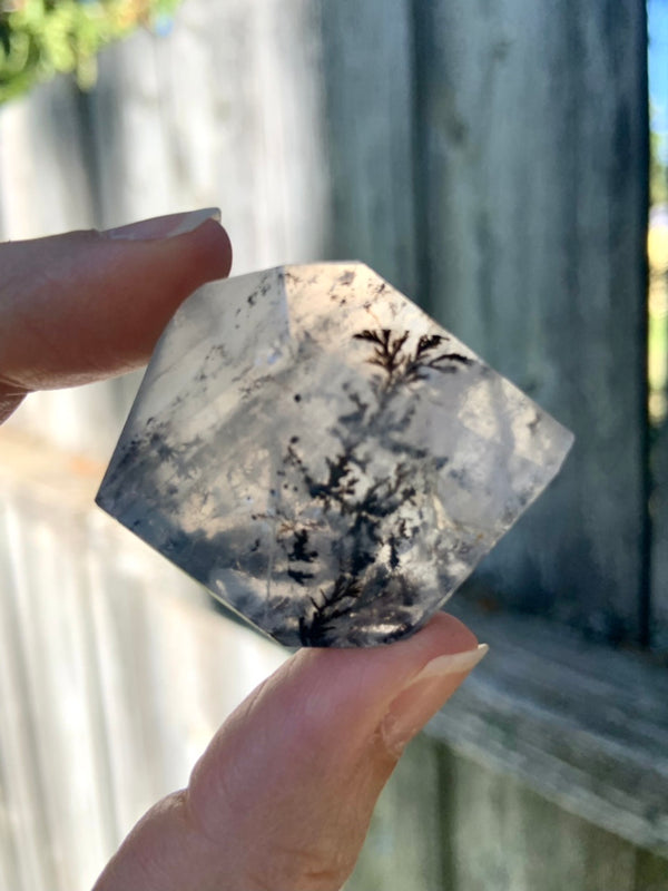 Dendritic Girasol Quartz Freeform