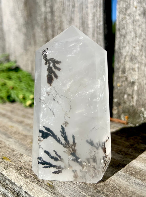 Tabular Girasol Dendritic Quartz Point