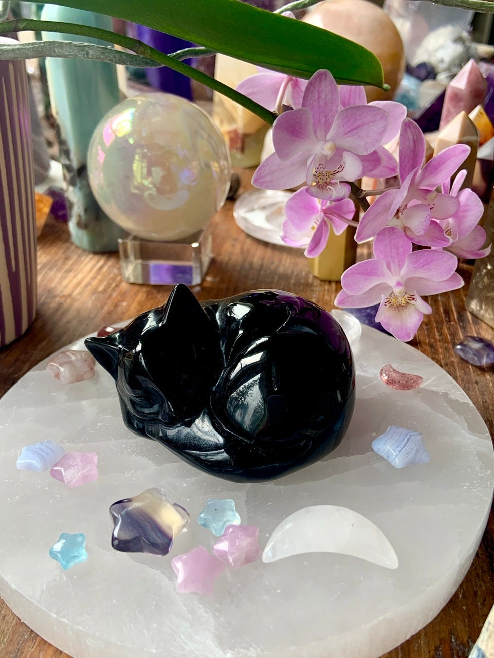 Side view of black obsidian sleeping cat carving resting on selenite plate with mini celestial crystals and blooming orchids overhead
