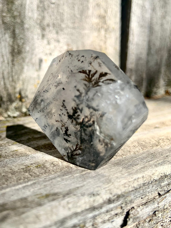 Dendritic Girasol Quartz Freeform