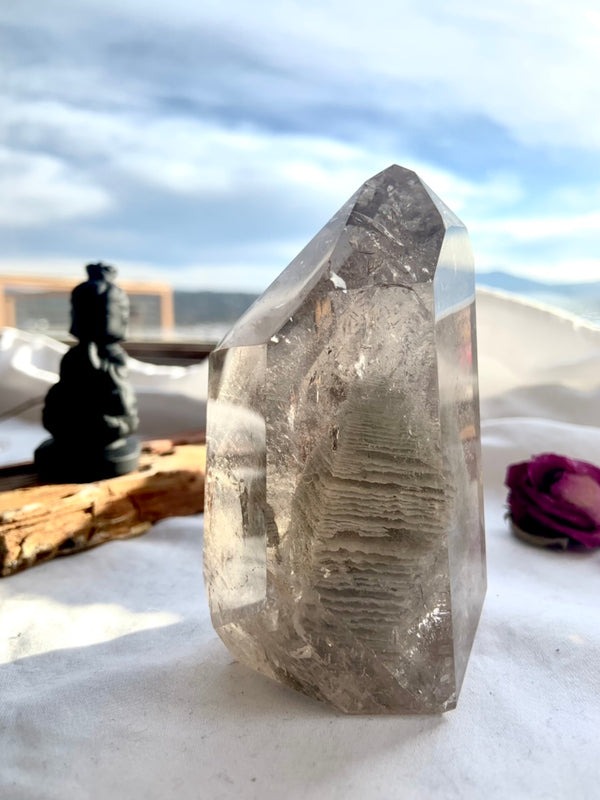 Thousand Layer Garden Quartz Phantom in Smokey Quartz